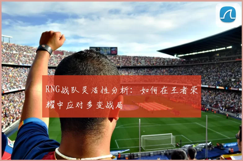 RNG战队灵活性分析：如何在王者荣耀中应对多变战局