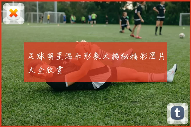 足球明星温和形象大揭秘精彩图片大全欣赏