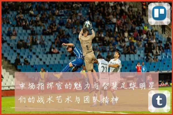 中场指挥官的魅力与智慧足球明星们的战术艺术与团队精神