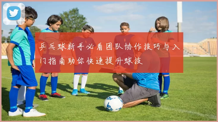 乒乓球新手必看团队协作技巧与入门指南助你快速提升球技