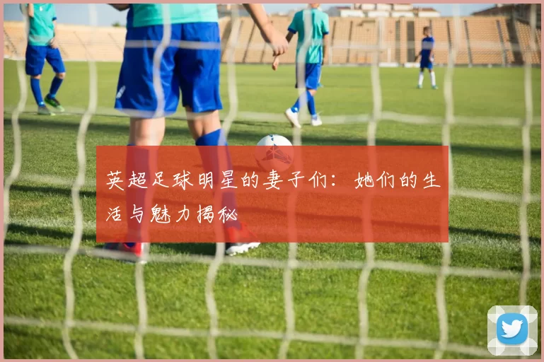 英超足球明星的妻子们：她们的生活与魅力揭秘
