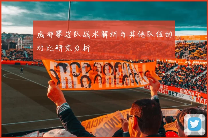 成都攀岩队战术解析与其他队伍的对比研究分析