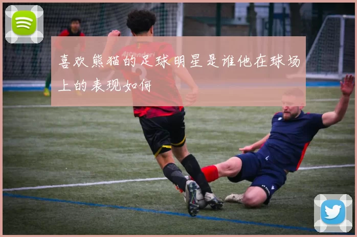 喜欢熊猫的足球明星是谁他在球场上的表现如何