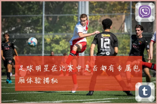 足球明星在比赛中是否都有专属包厢体验揭秘