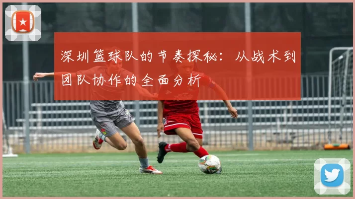 深圳篮球队的节奏探秘：从战术到团队协作的全面分析