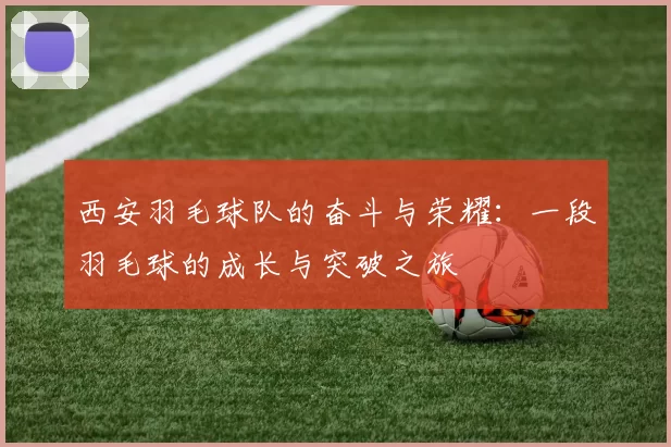 西安羽毛球队的奋斗与荣耀：一段羽毛球的成长与突破之旅