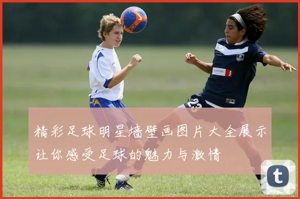 精彩足球明星墙壁画图片大全展示让你感受足球的魅力与激情