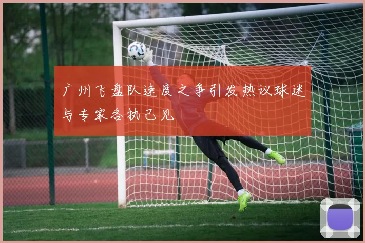广州飞盘队速度之争引发热议球迷与专家各执己见