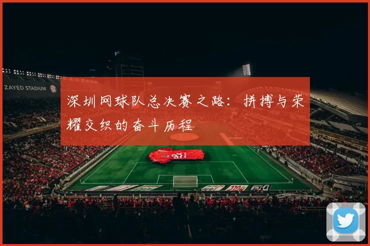 深圳网球队总决赛之路：拼搏与荣耀交织的奋斗历程